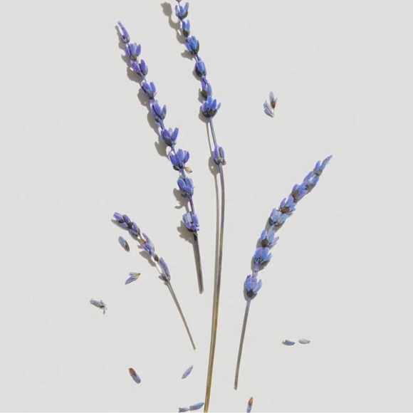 Beautycounter Soft Lavender Clean Deodorant Trio - Picture 4 of 4